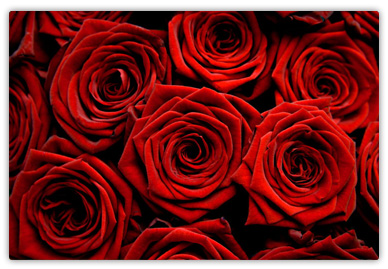 Mothers Day Flowers